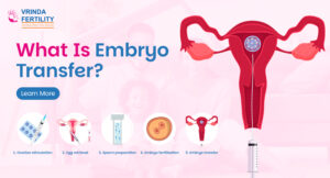 Embryo Transfer