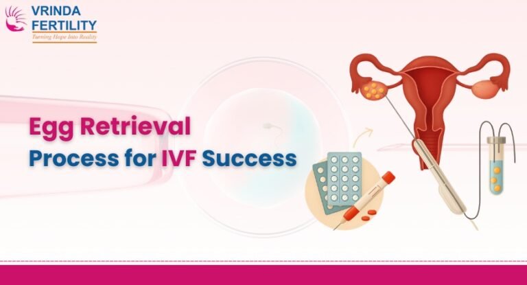 Egg Retrieval Process For IVF Success Step by Step Guide Egg Retrieval Process For IVF Success Step by Step Guide