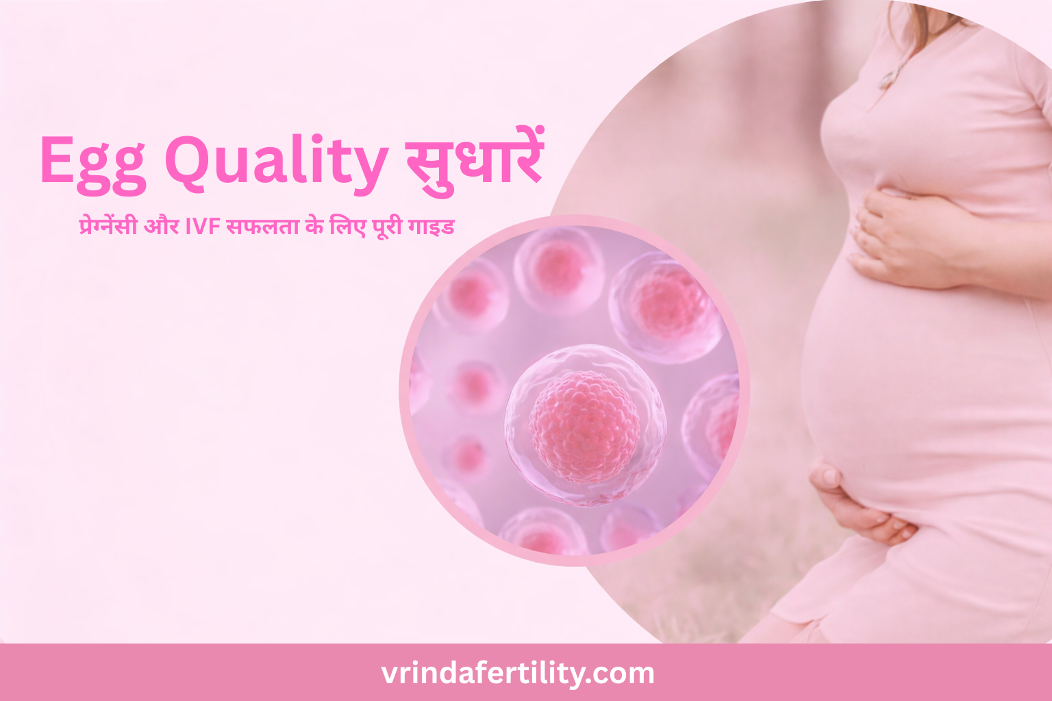 Read more about the article Egg Quality सुधारें: प्रेग्नेंसी और IVF सफलता के लिए पूरी गाइड