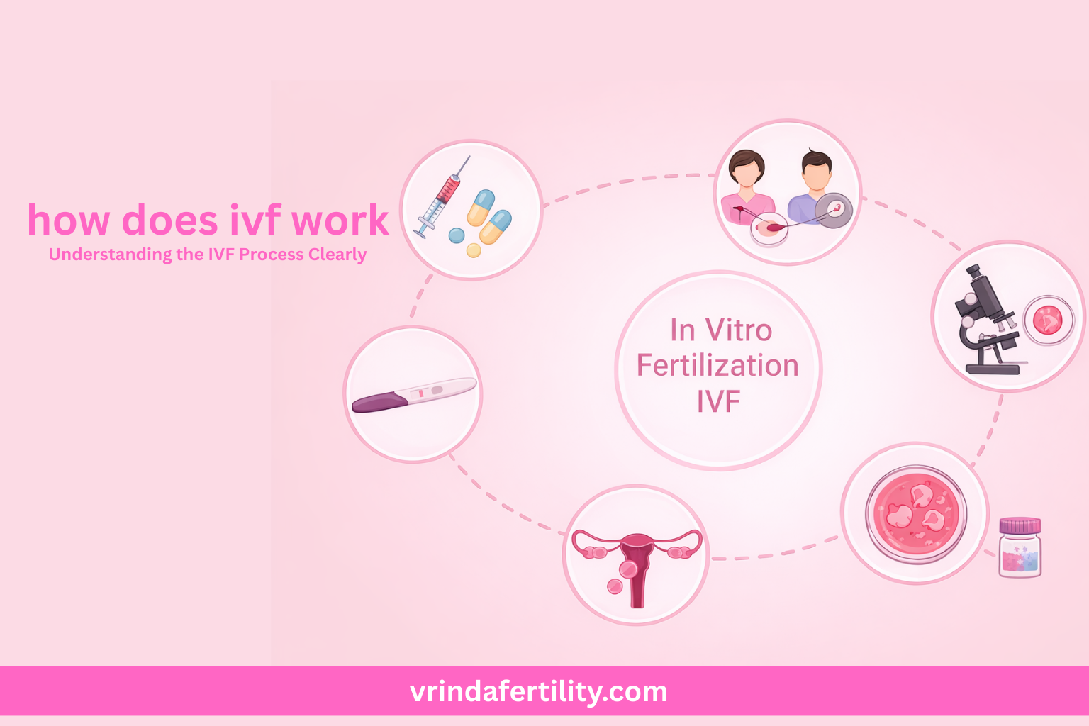 Read more about the article How Does IVF Work? Understanding the IVF Process Clearly